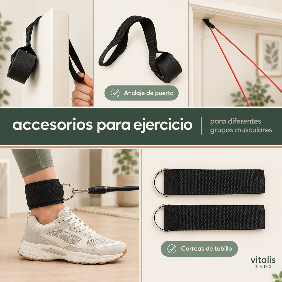 Set de Bandas de Resistencia 5 Niveles