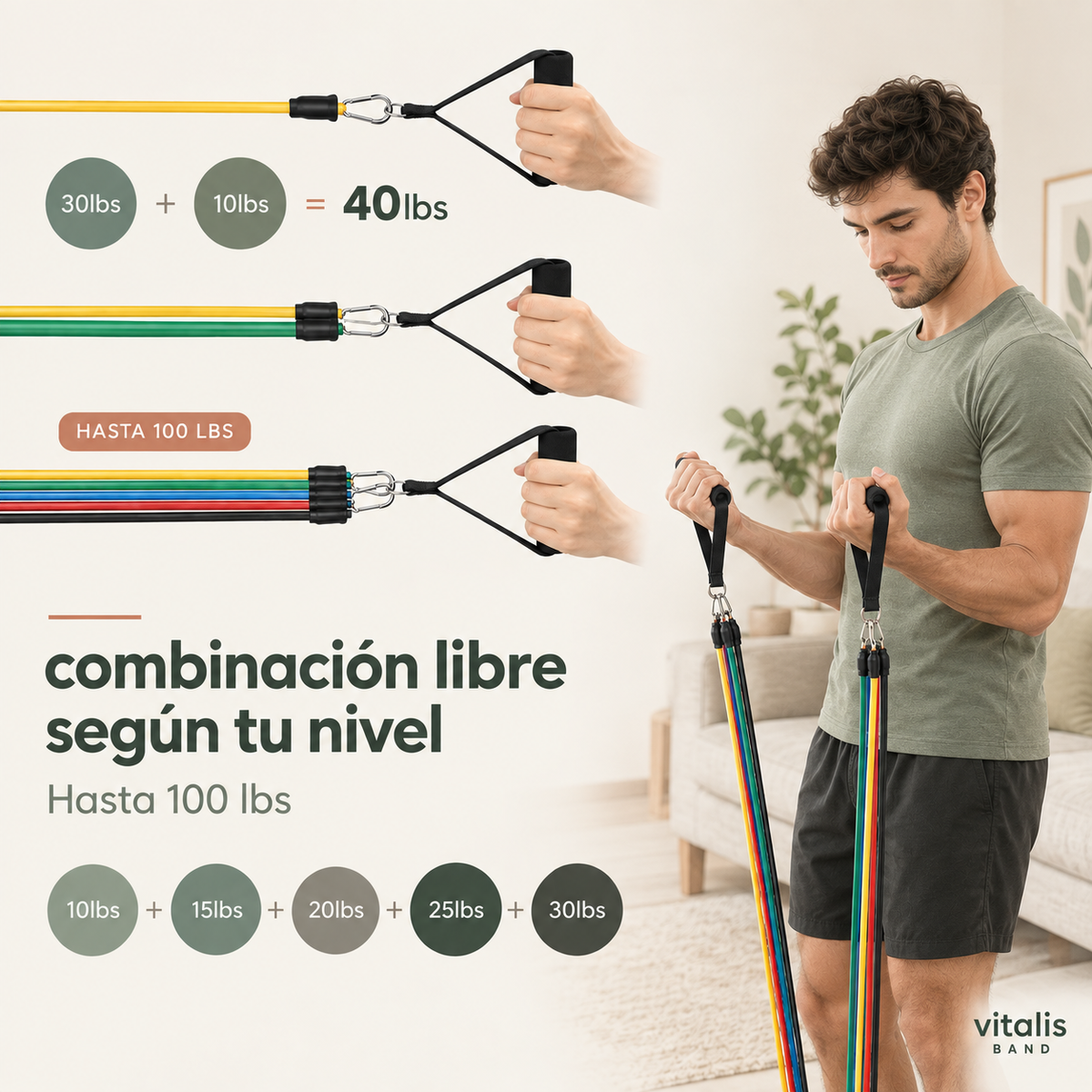 Set de Bandas de Resistencia 5 Niveles